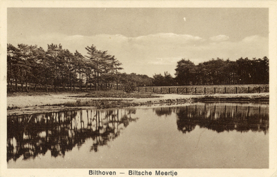 8524 Gezicht op het Biltsche Meertje te Bilthoven uit het noordoosten.